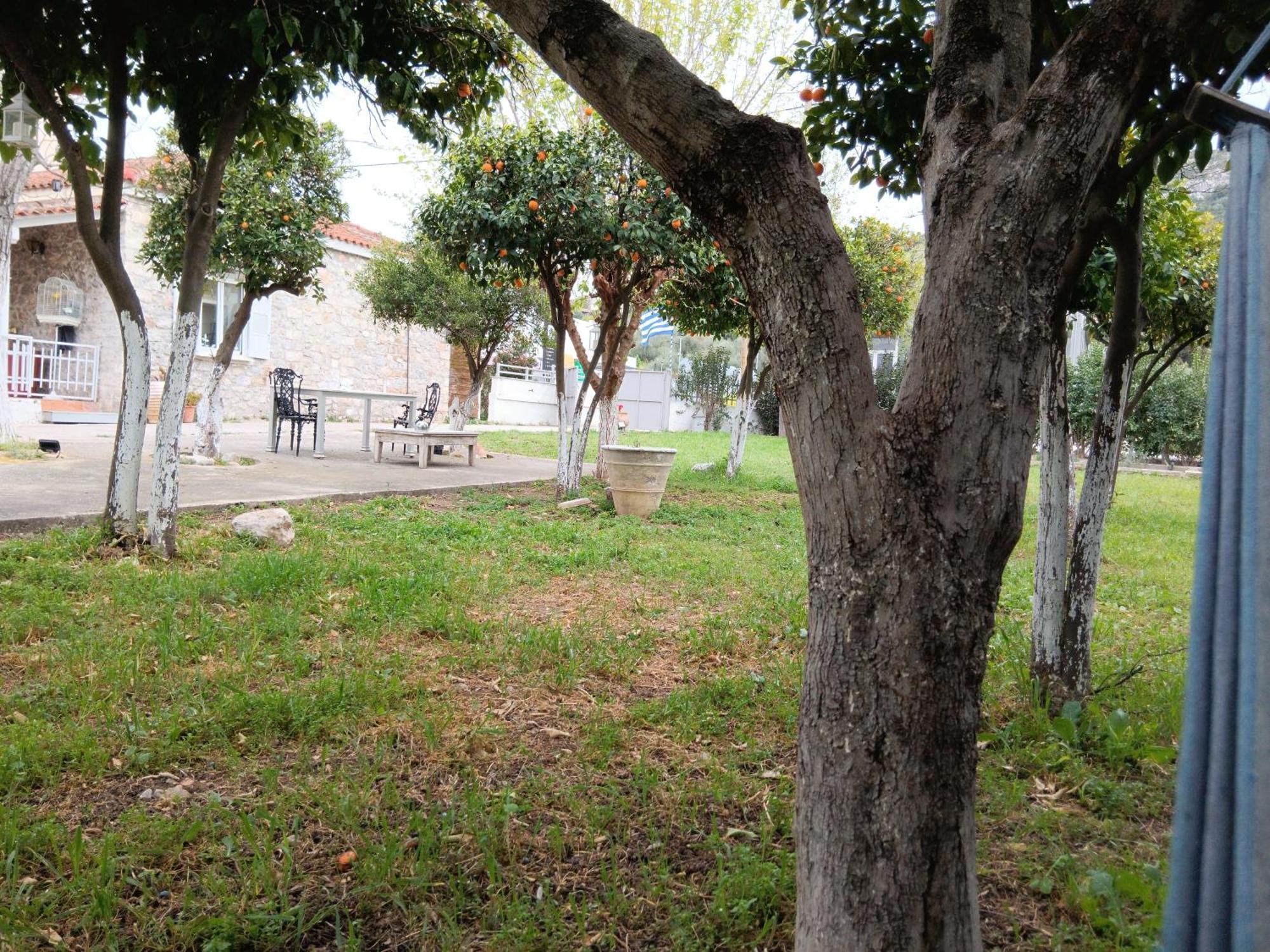 Villa Άθοσ Nauplia Exterior foto